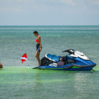FX CRUISER SVHO 2024- – Image 7