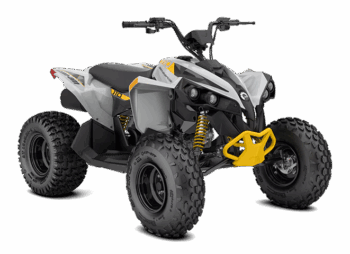 RENEGADE 110 EFI 2025-
