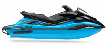 FX SVHO 2025-