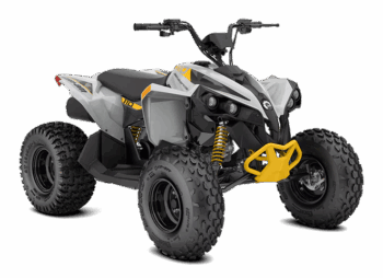 RENEGADE 110 EFI 2026